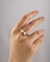 Naia Vermeil Duo Ring