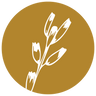 Preeti Sandhu logo